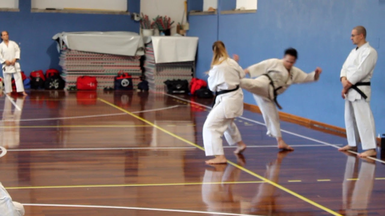 Kihon and Kumite at Italy Seminar FEIKAR 2019 by Tiru Jr Katsu sensei Shuhari