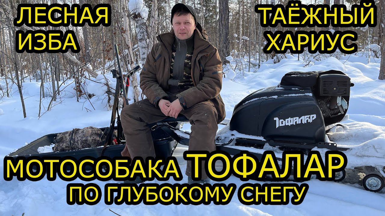 МОТОСОБАКА ПО ГЛУБОКОМУ СНЕГУ толкач ТОФАЛАР , МУЖИК ,СЕВЕР СТЕМ, ТЕСТ , ЛЕСНАЯ ИЗБА ,РЫБАЛКА ХАРИУС