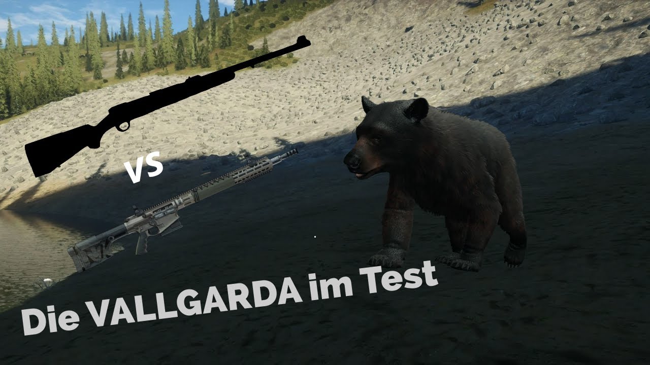 ARZYNA oder VALLGRADA im Grind? |Schwarzbär-Freitag| theHunter call of the wild