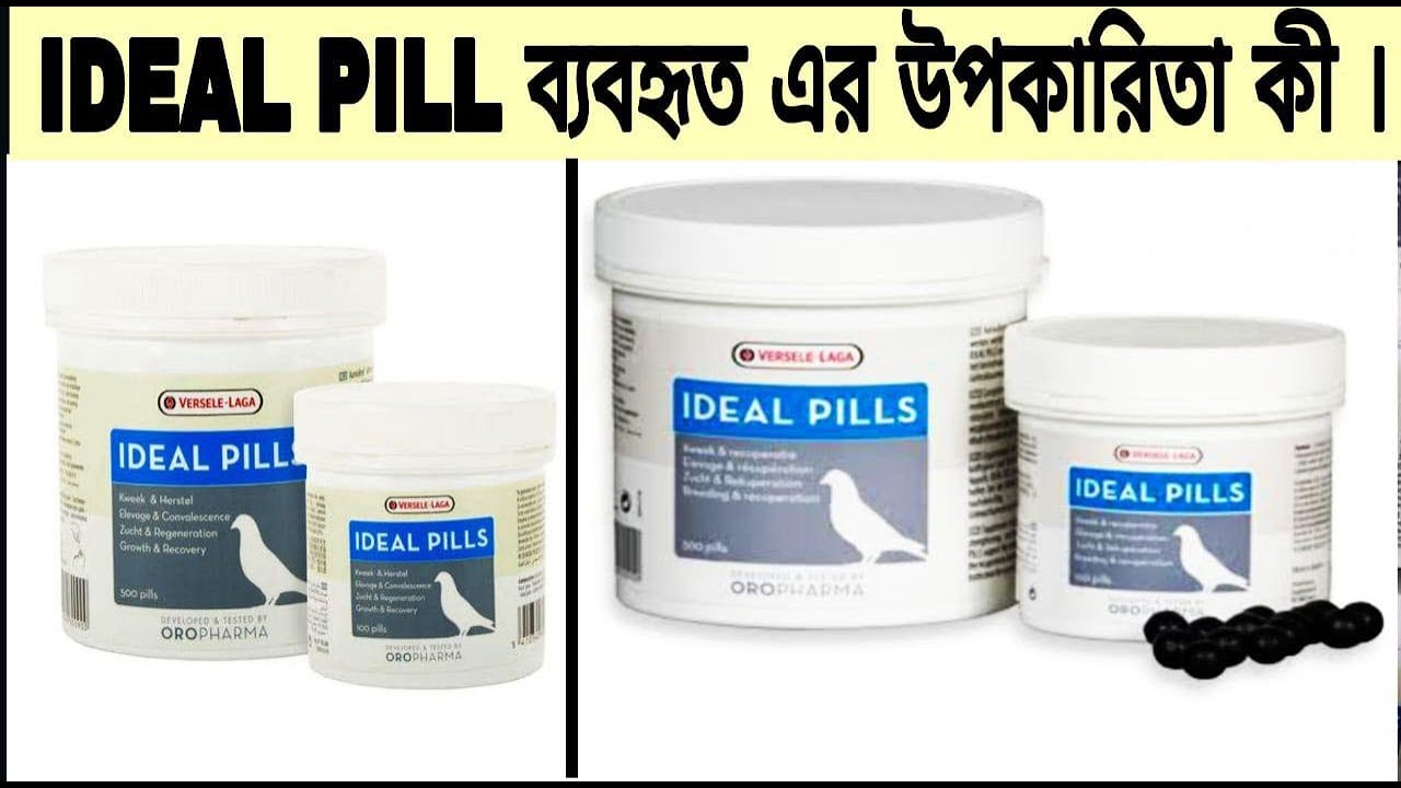 Ideal pill usage and benefits || Dream pigeon loft