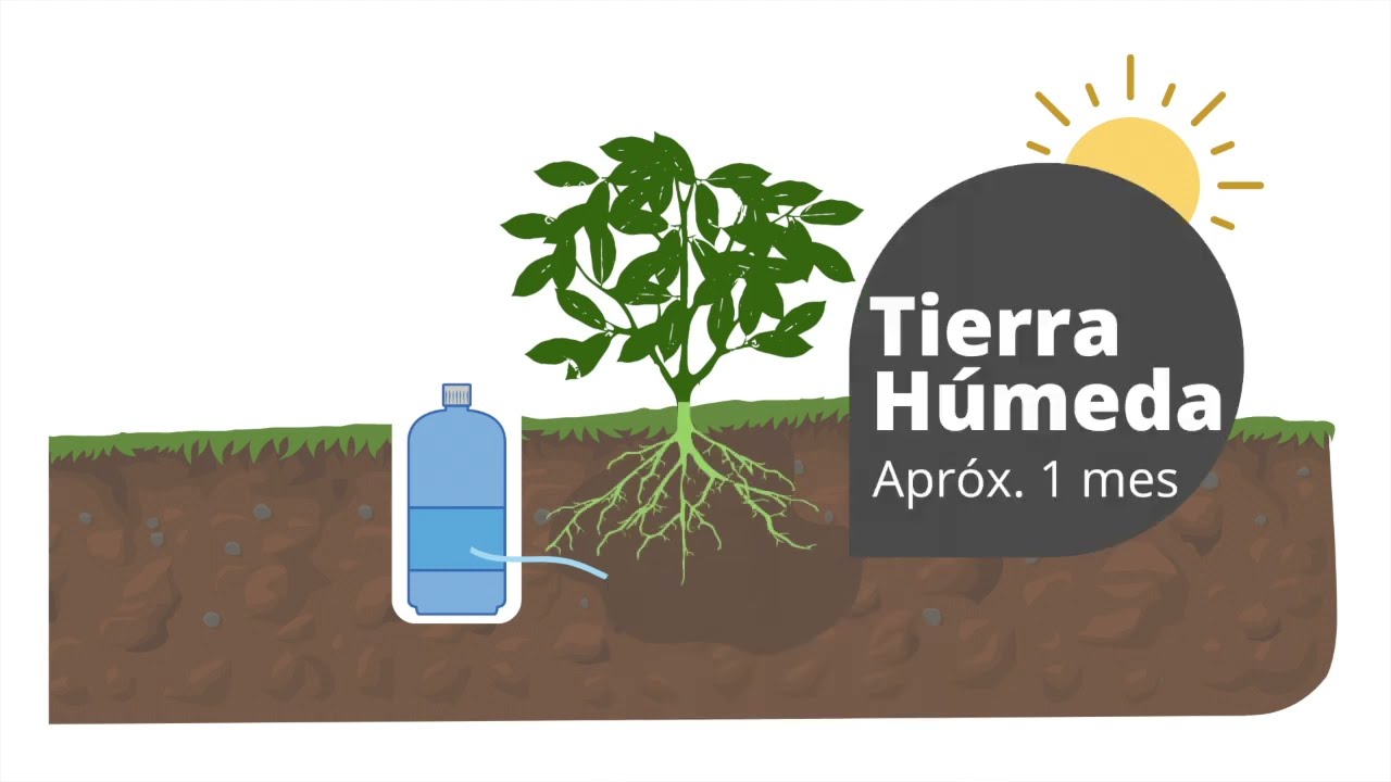 El Agua Enterrada - Sistema de Riego por Capilaridad - Objetivo: acelerar la producción.