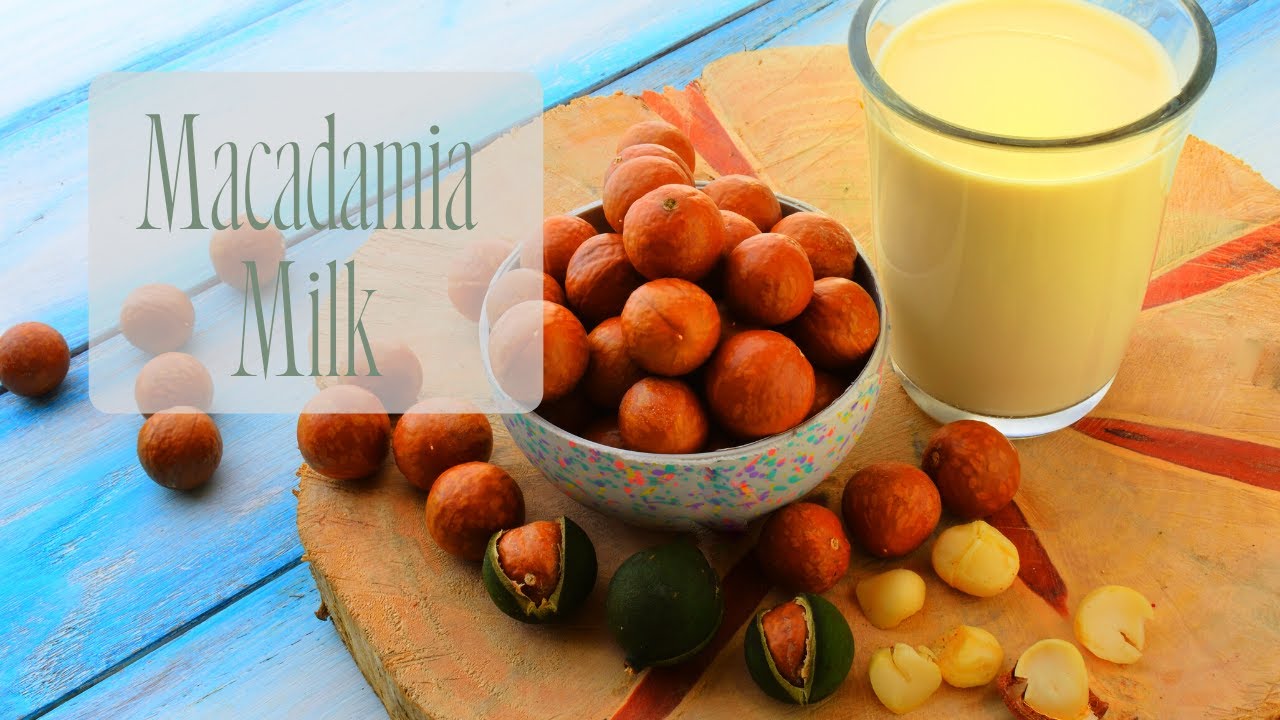 5-Minute Delicious & Creamy Homemade Macadamia Nut Milk Recipe, Healthy!