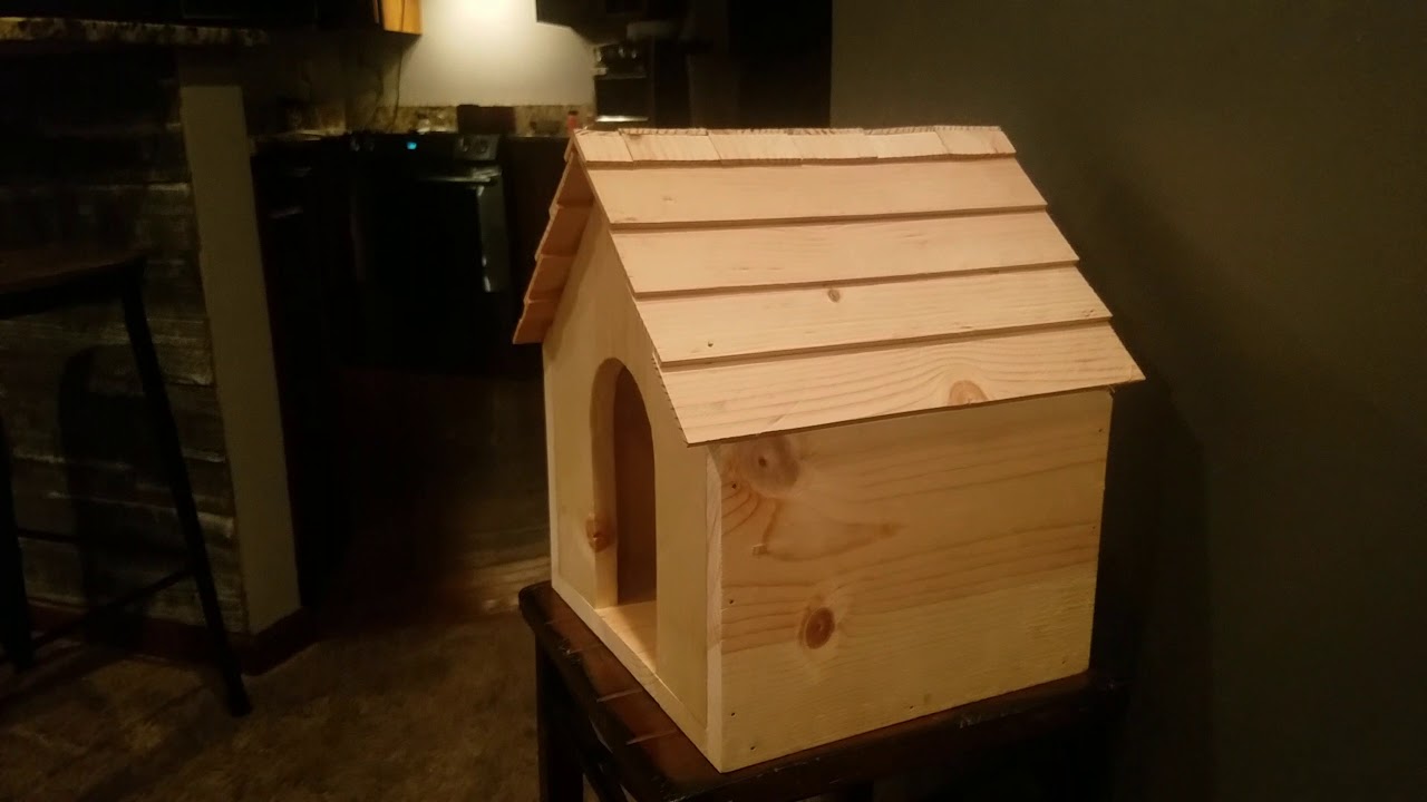 Building a Bunny House