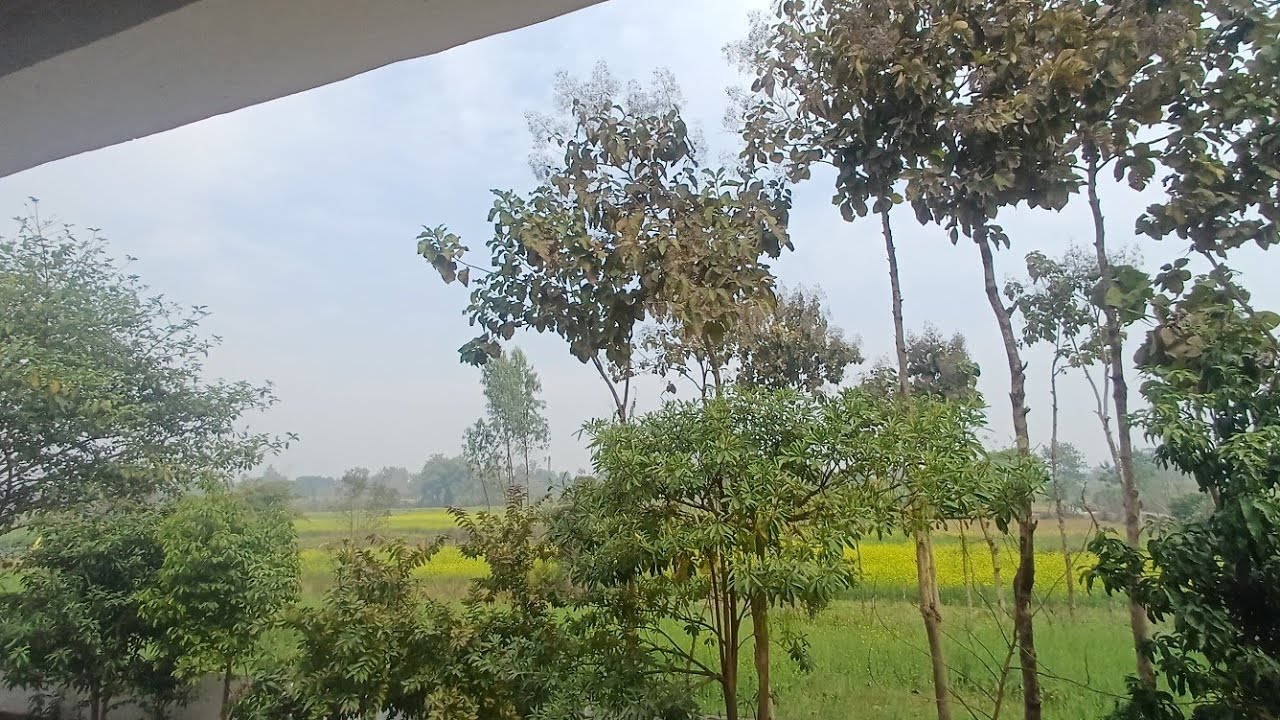 स्वास्थ्य  रहने के महत्वपूर्ण  टिप्स 💪#motivation#video#trending#like#share#motivation 
