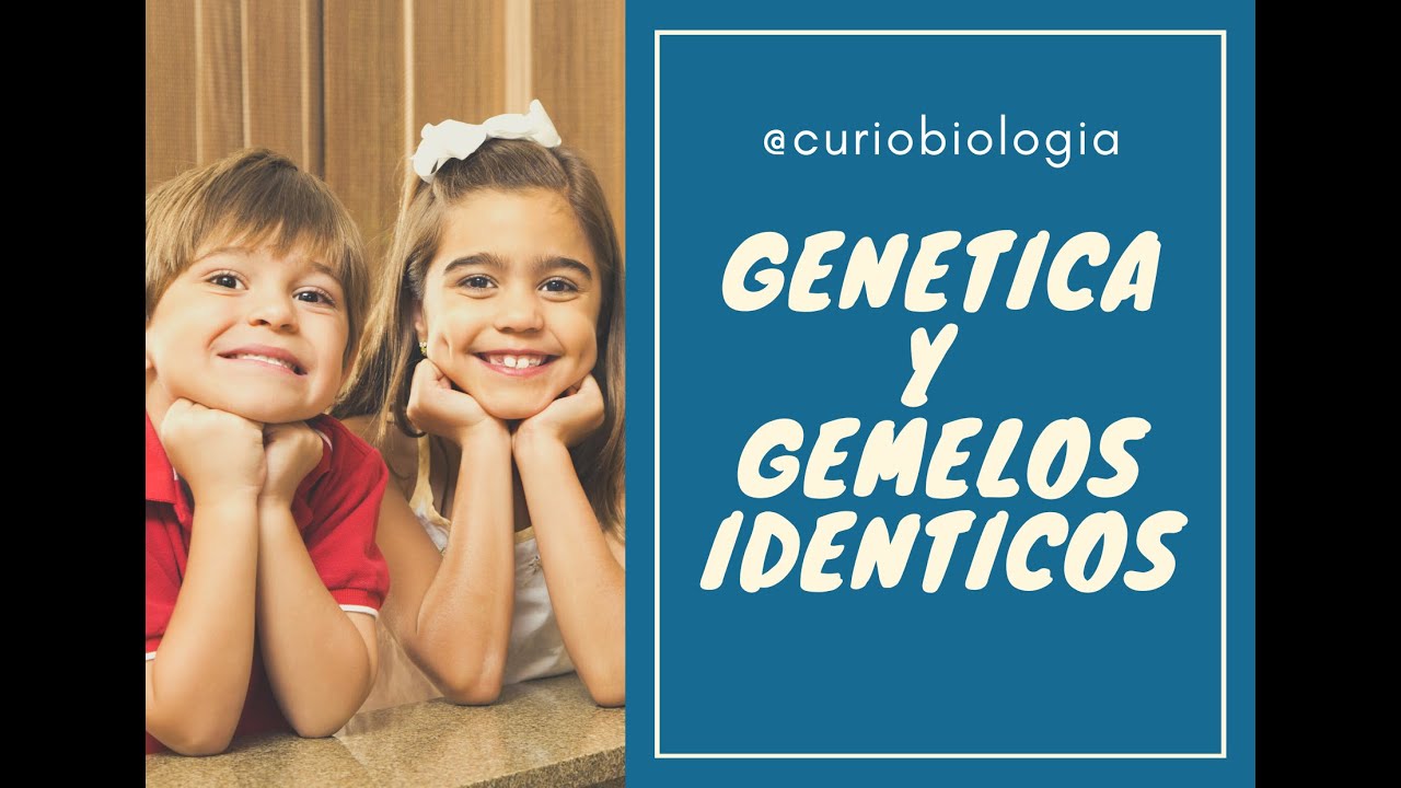 Curiosidades de la Biolog&iacute;a-5-Gen&eacute;tica y gemelos id&eacute;nticos.