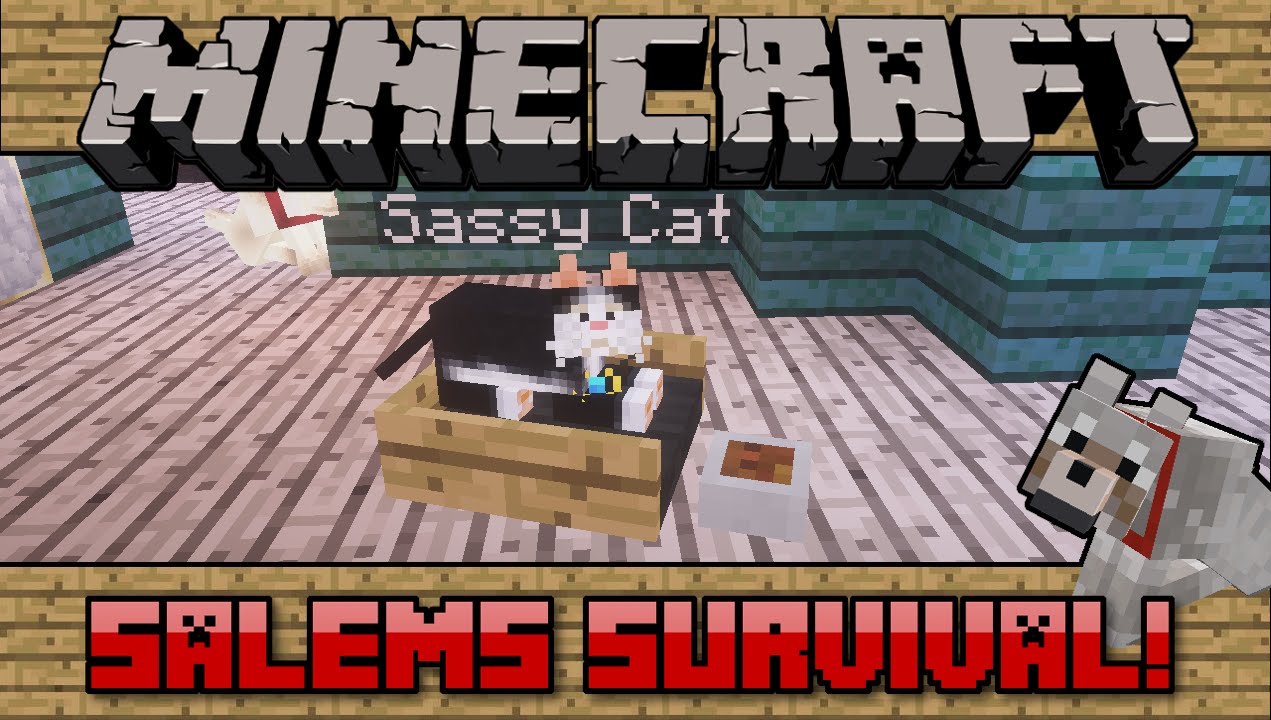 Minecraft PC: Salems Survival! [46] Sassy Cat!