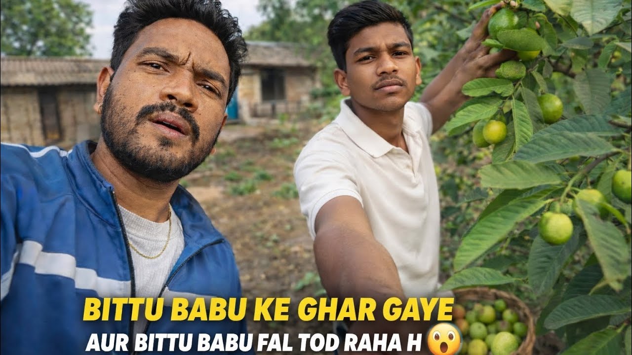 Bittu babu ke ghar gaye,aur bittu babu sitaphal tod raha hai.😲
