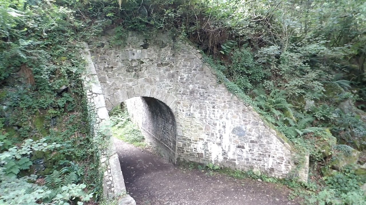 Dewerstone Quarry tramway and Branch line