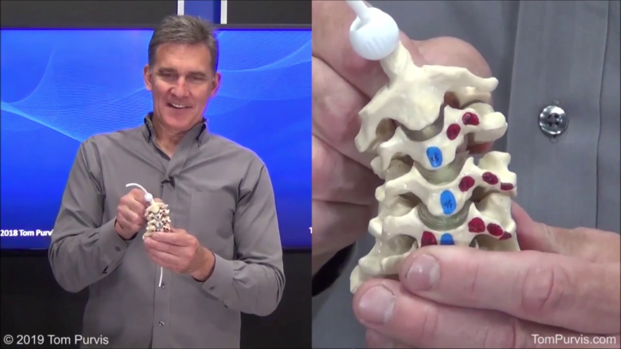 Clip from 3510 Basic Spinal Mechanics - Part 5 - Coupled Motions (see below for full video)