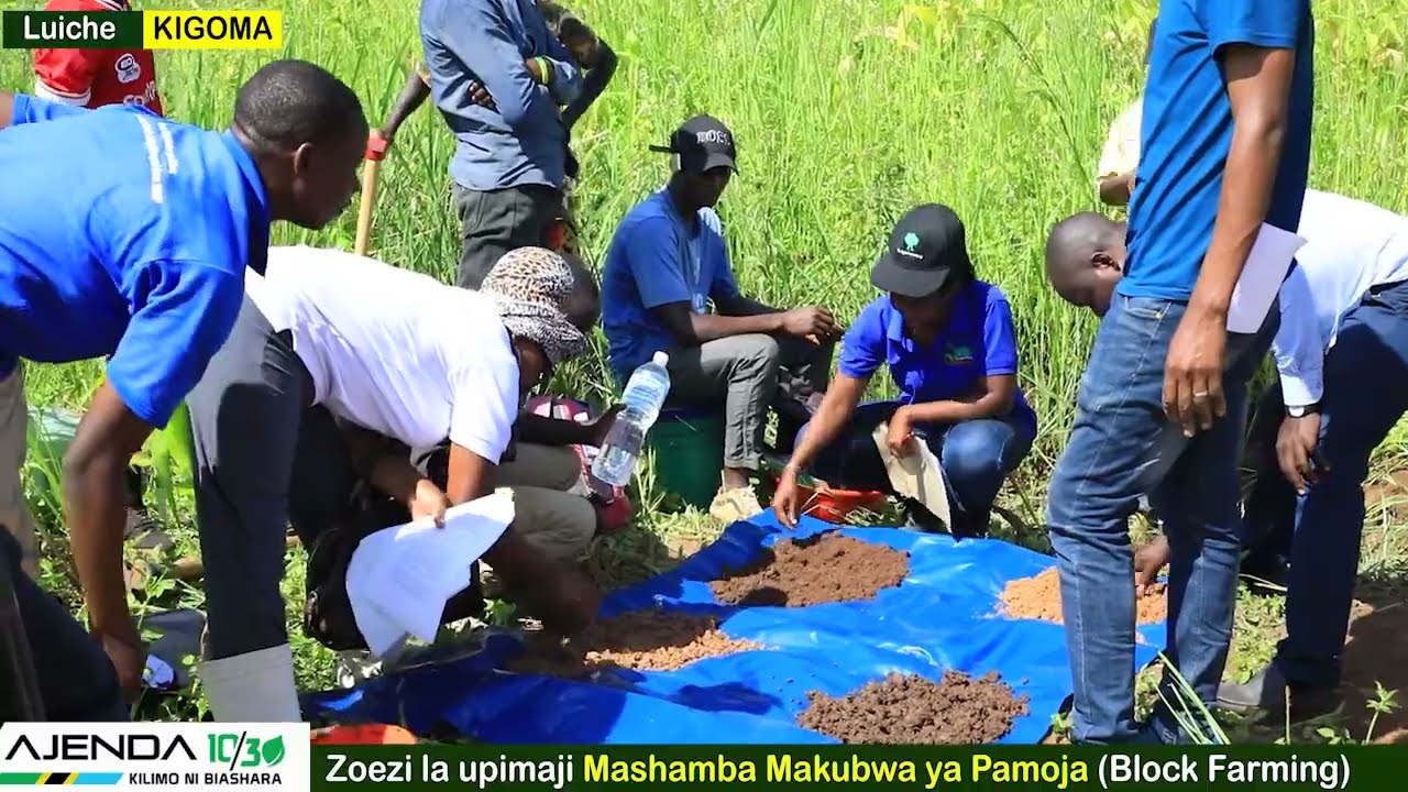 HAYA NDIYO MAENEO YANALIYOTENGWA KWAAJILI YA KILIMO CHA PAMOJA CHA VIJANA MKOANI KIGOMA