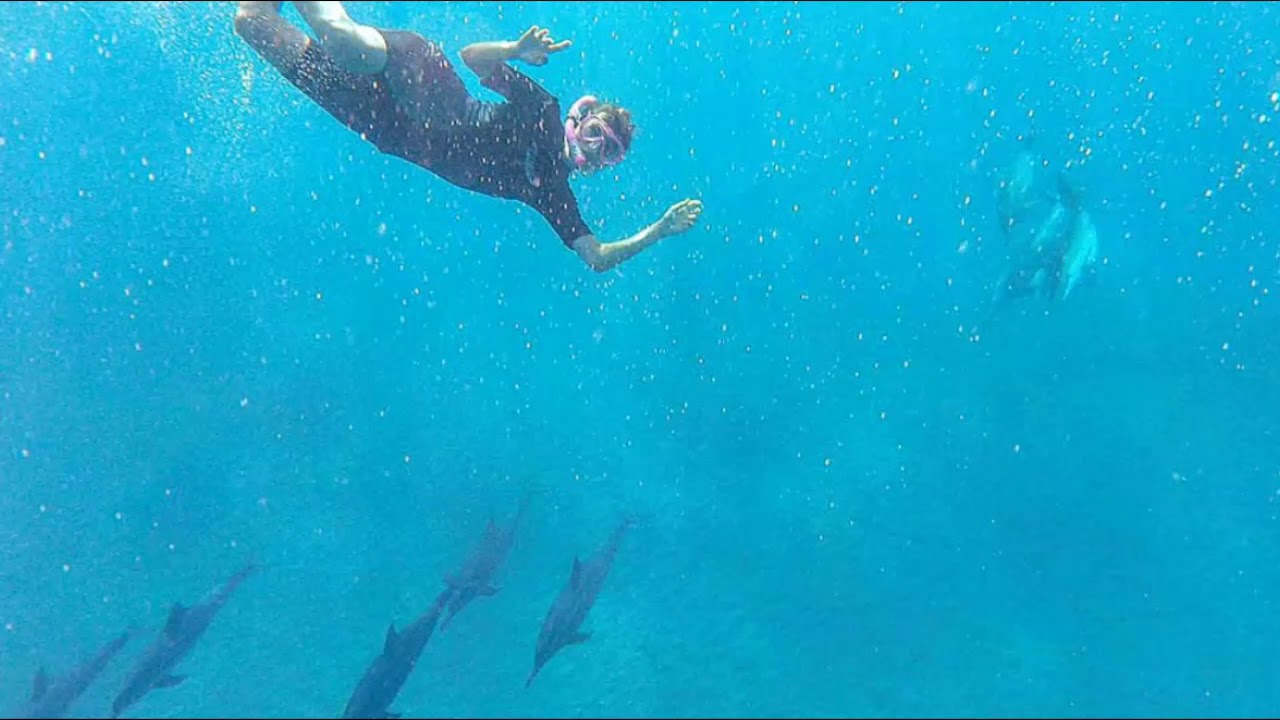 Shamanic Healing Training Hawaii * Schamanische Heilmethoden Ausbildung Hawaii