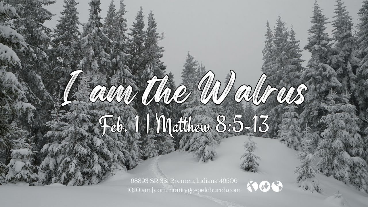 I Am the Walrus (Matthew 8:5-13)