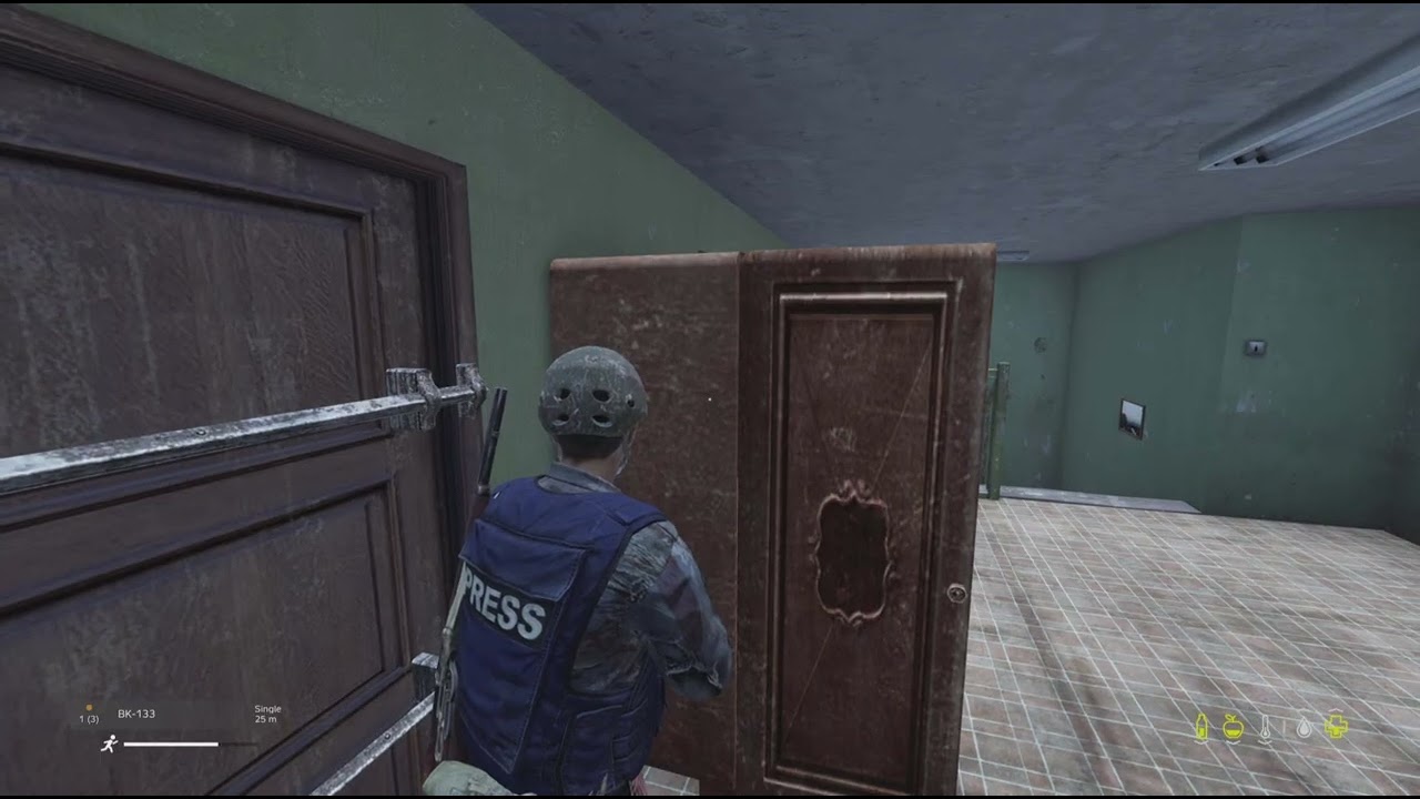 DayZ Clips II