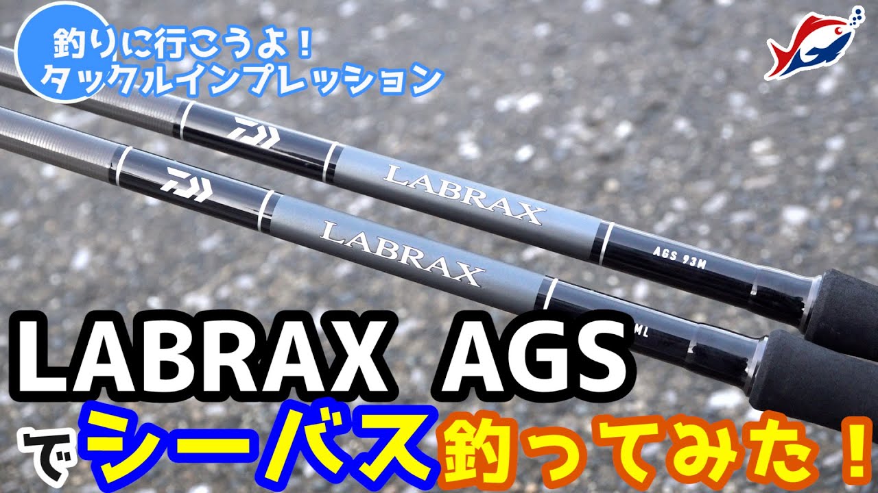 【シーバス釣りin荒川】ダイワ新製品「ラブラックスAGS」実釣インプレッション！【釣りに行こうよ！】