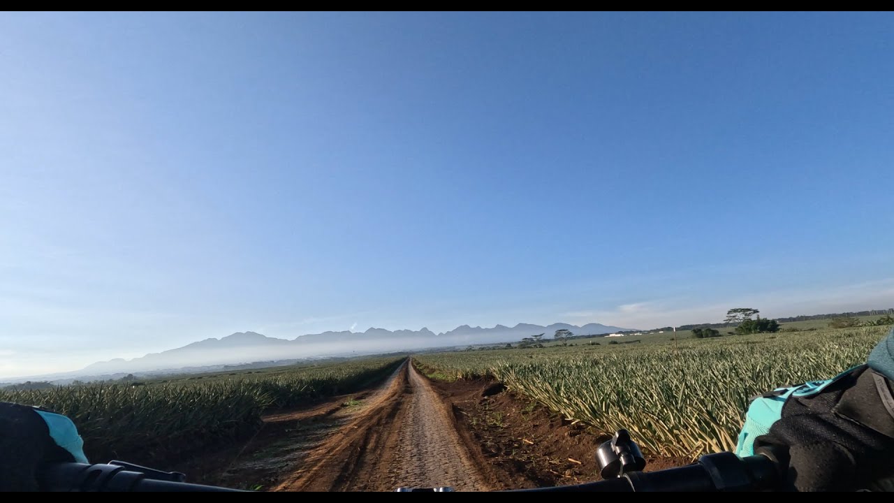 Squeaky Bike, Worn Gear, and an Old Soul 🙂🚲 @ Del Monte Pineapple Plantation, Bukidnon