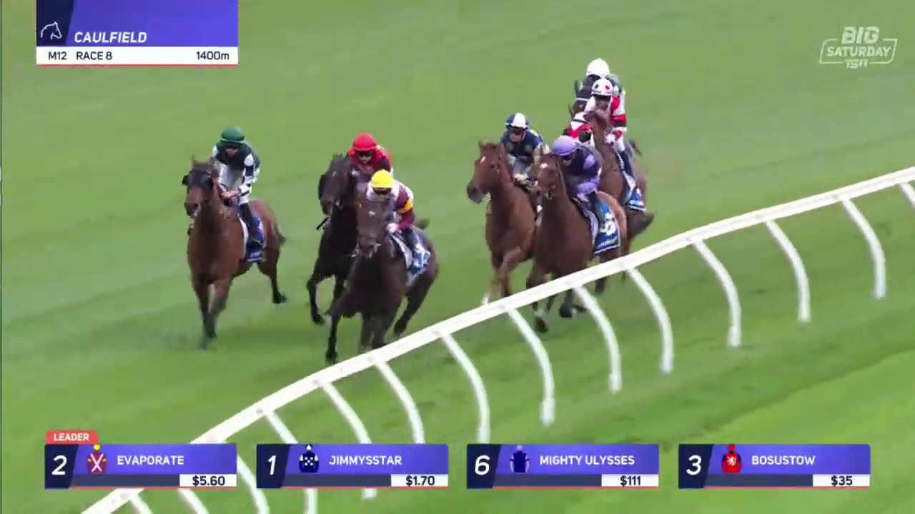 CF Orr Stakes 2025 - JIMMYSSTAR (3 года+ WFA G1) Группа 1 Колфилд 15 ноября