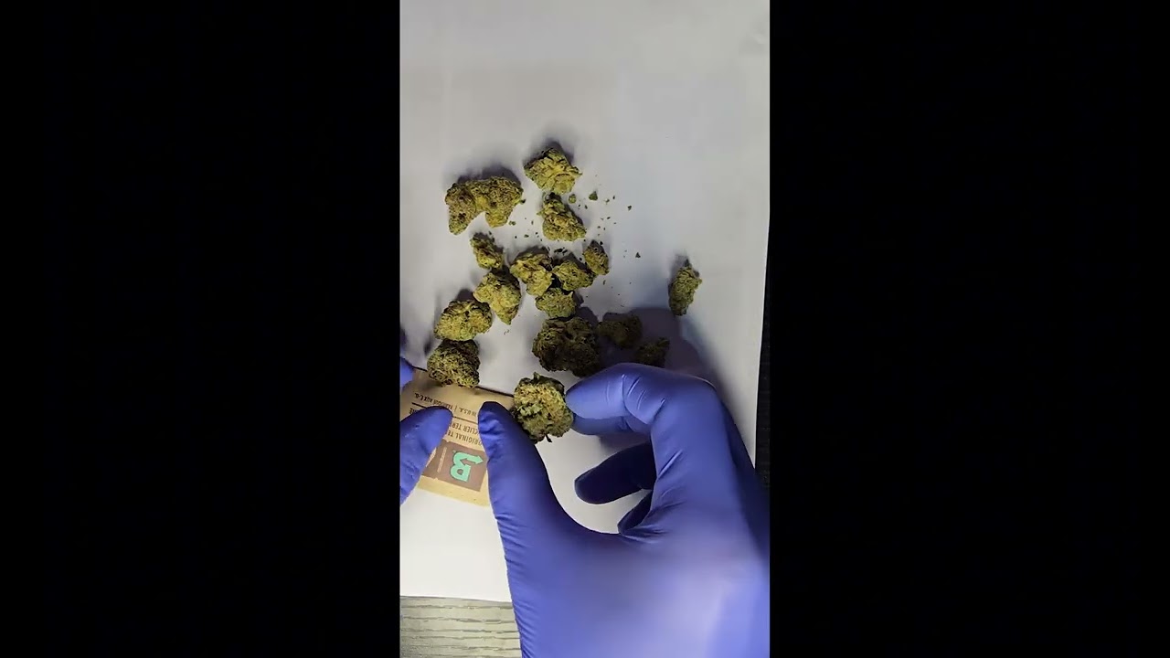 QWest grape cream cake T24 review