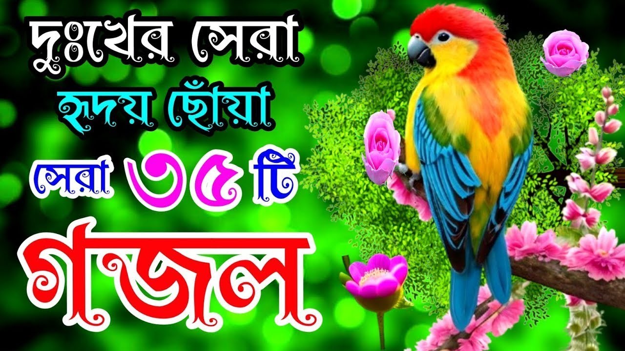 দুঃখের সেরা হৃদয় ছোঁয়া ৩৮টি গজল |বাংলা বাছাইকৃত গজল |Selected Gajal |New Gojol |Best Bangla Gazal 