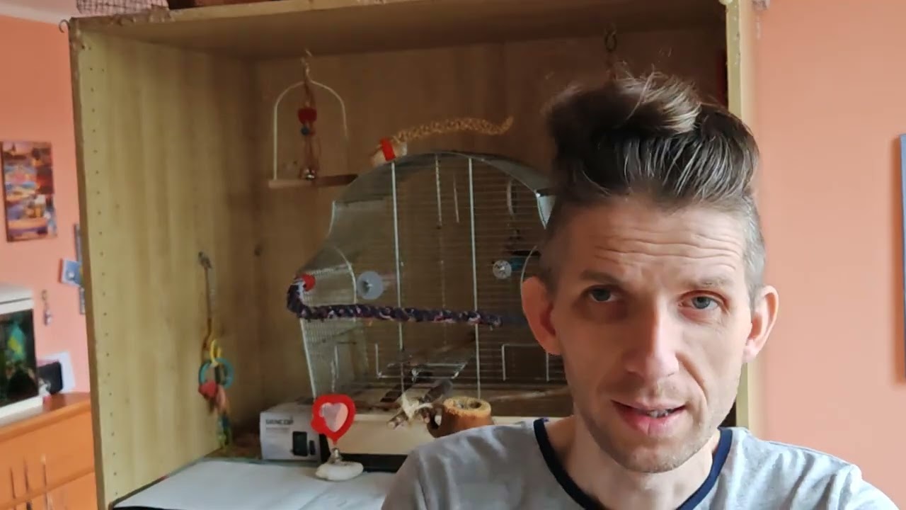 Čistím andulky - Pepíčka Pepinku a Fridolína