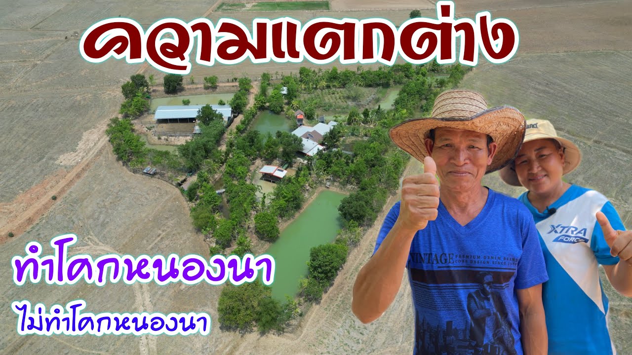 โคกหนองนาห้าปีท่ามกลางทุ่งนา ทำด้วยศรัทธา ความรัก ด้วยใจ หลุมหลบภัยที่มั่นคง | บ่าวยุทธพาจ้วด