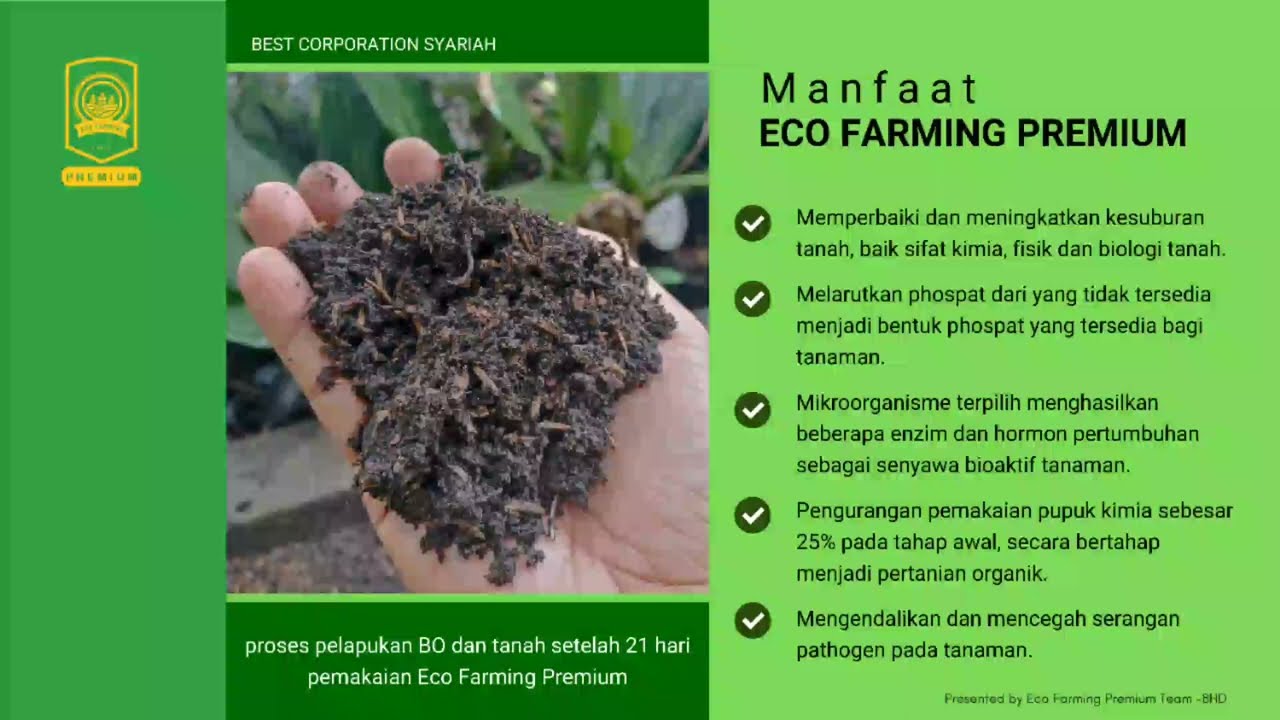 Temukan Solusi Dan Jawaban Manfaat Pupuk Organik Eco Farming Premium.🌾