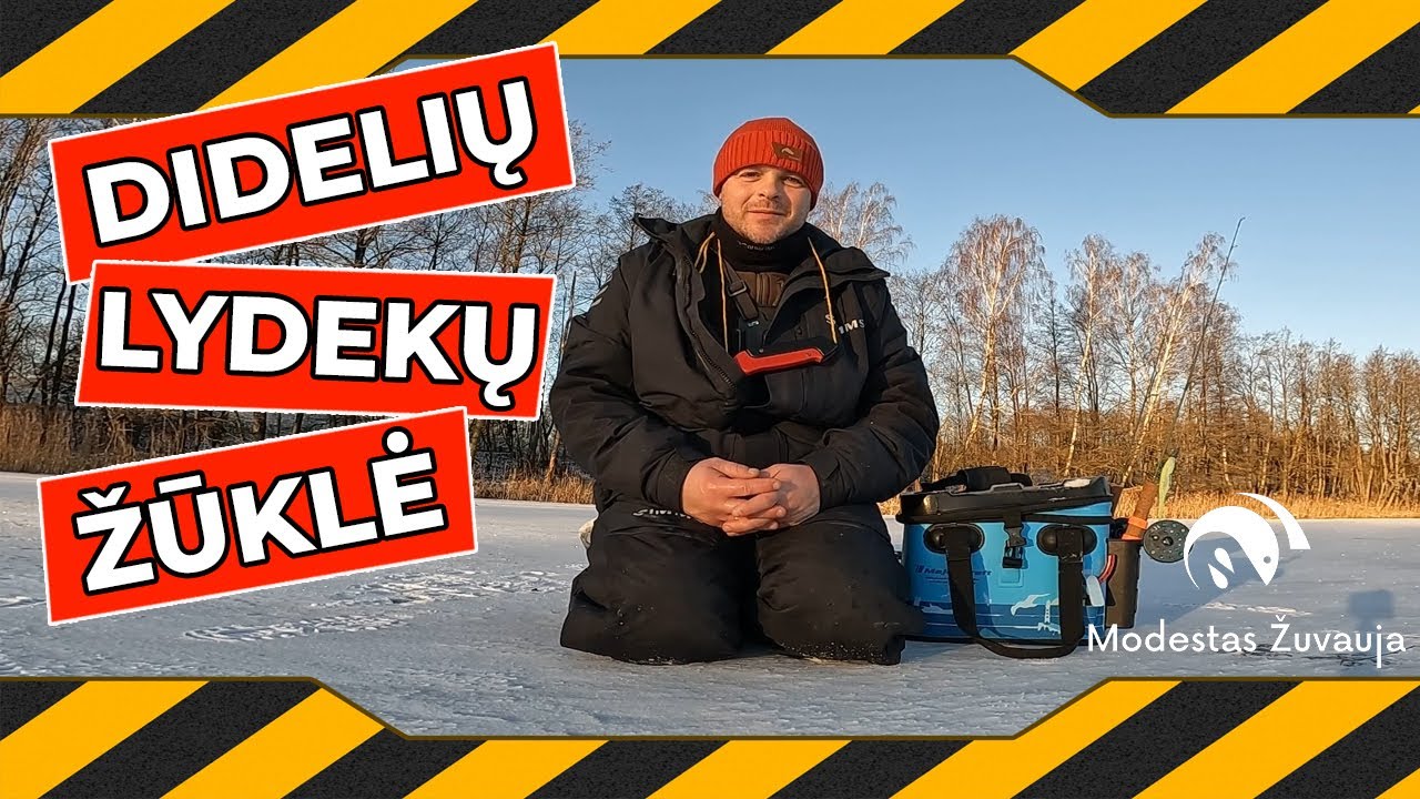 Didelių lydekų žūklė