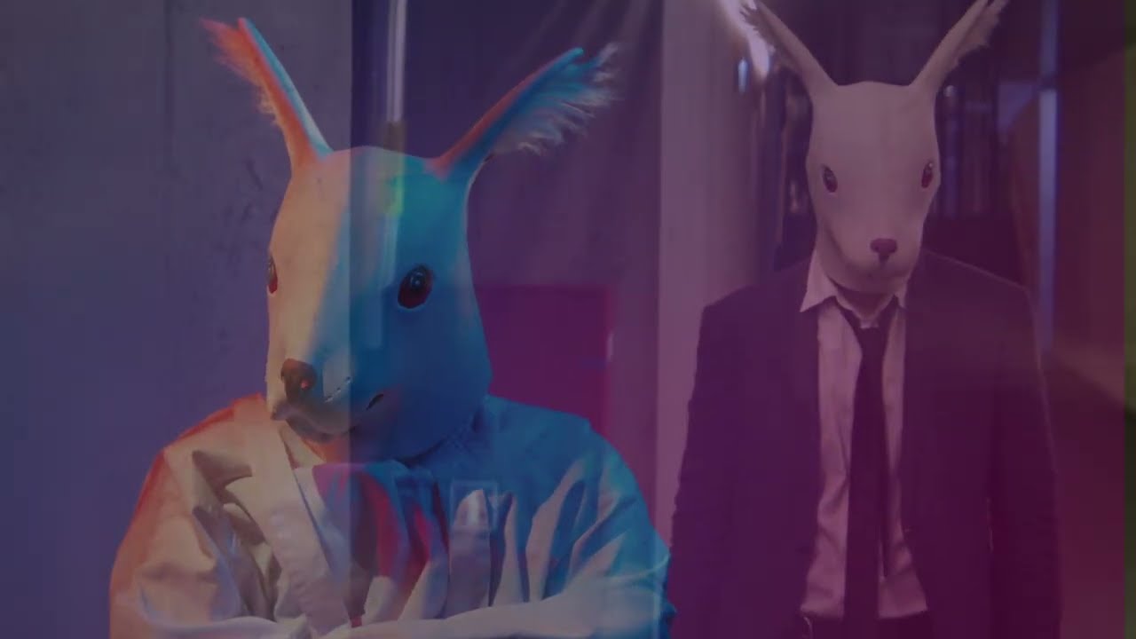 Echo Veins – Two Shots (Official Video)