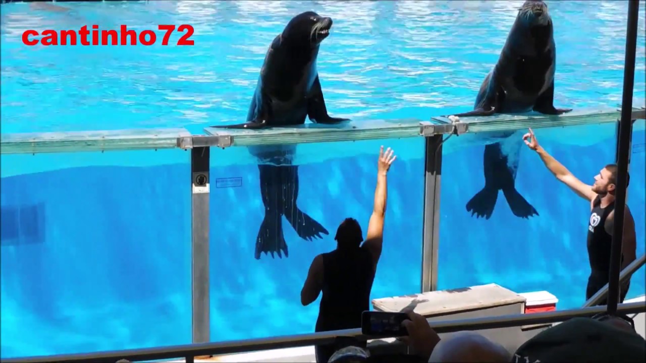 Baía dos Golfinhos no Jardim Zoológico de Lisboa.