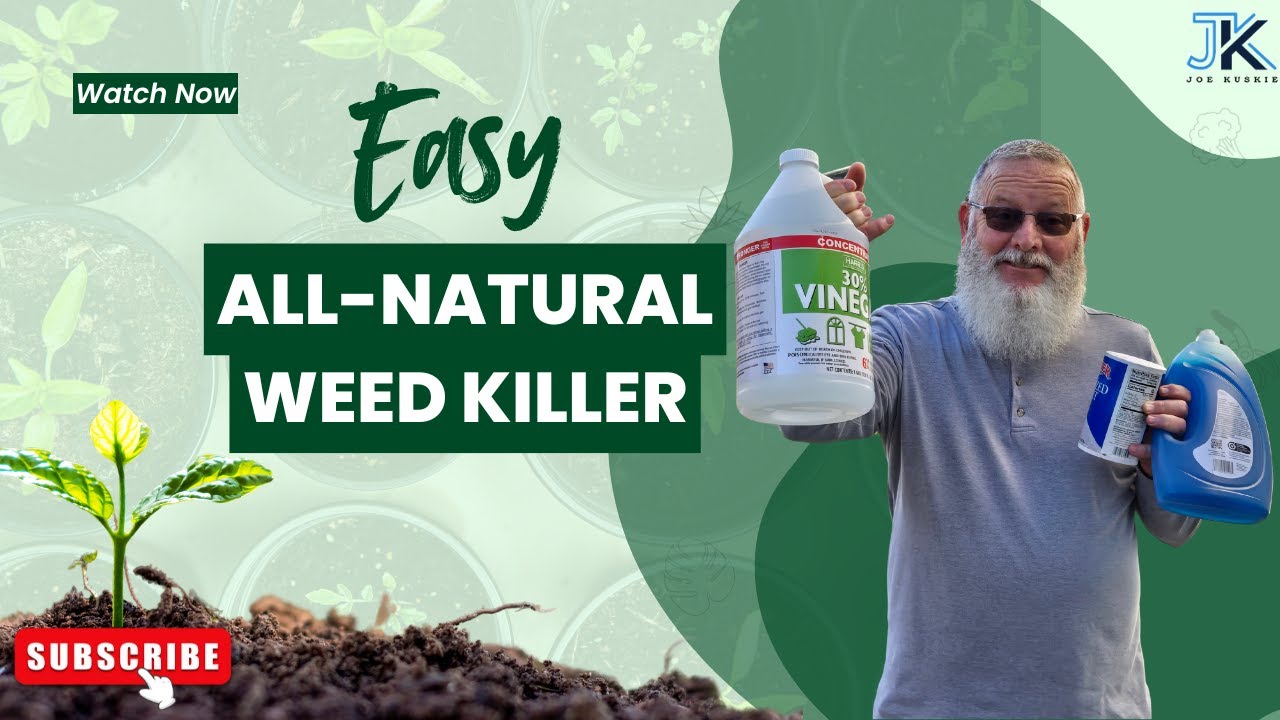 DIY Weed Killer with Vinegar, Salt & Soap &ndash; Easy & Effective!