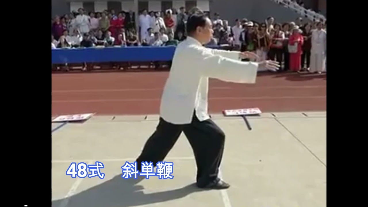 楊式８５式太極拳　赵幼斌　（背面　動作名入　20分）
