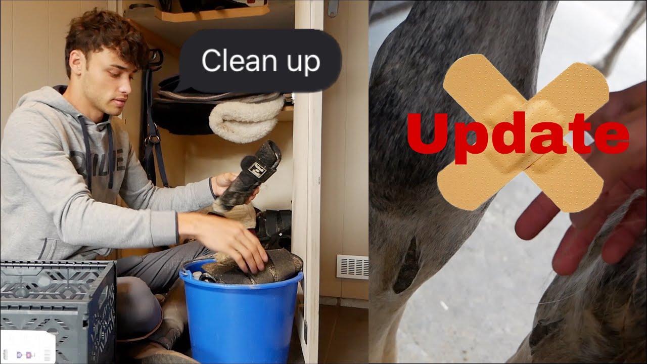 Organising my tack lockers + injured stallion update