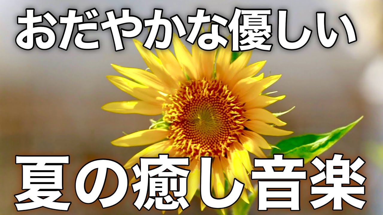 【癒しBGM】心が落ち着く優しいリラックス音楽、自律神経を整え不安やストレス解消のためのヒーリングミュージック/睡眠用・作業用・勉強用BGM