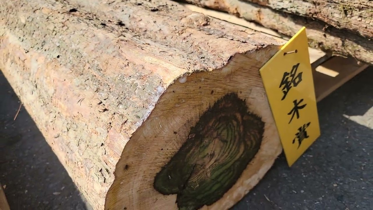 今月の市場　黒柿の原木