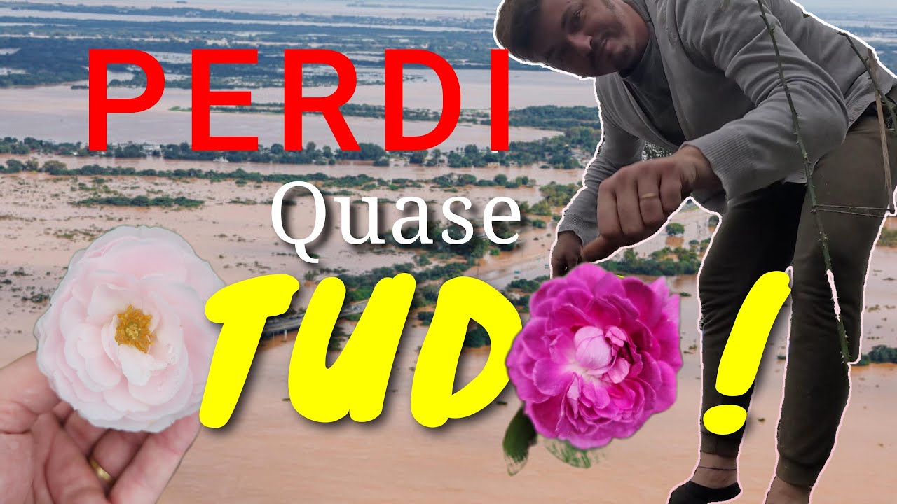 Quem falou que a Rosa é Resistente ?