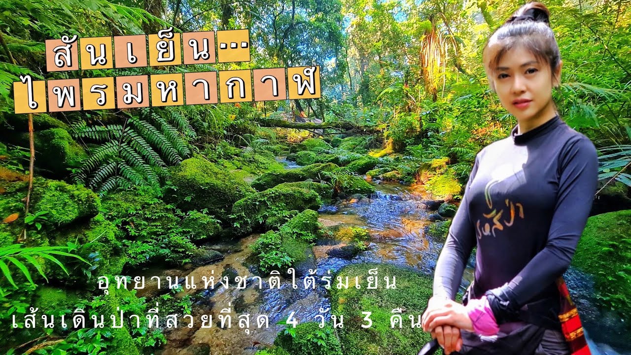 สันเย็นไพรมหากาฬ เดินป่าระยะไกลที่สวยจนลืมหายใจ 4วัน 3 คืน ป่าโบราณใหญ่ที่สุด ทากเพียบ | Coffee Nutt