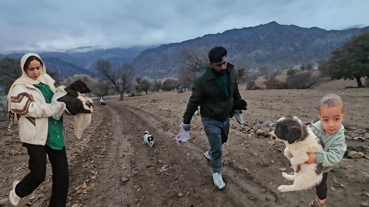 Documentary on nomadic life: 