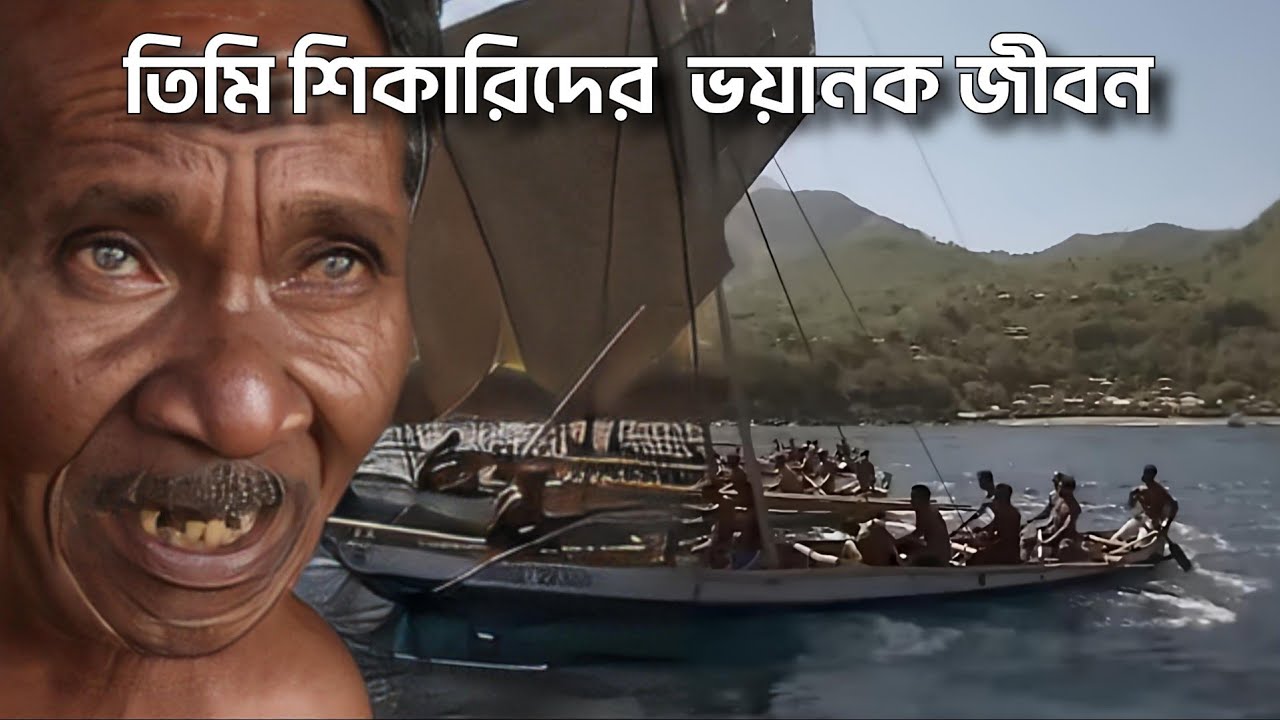 পৃথিবীর শেষ তিমি শিকারি মানুষদের ভয়ানক জীবন | লামালেরা | The last whale hunters people Of Indonesia