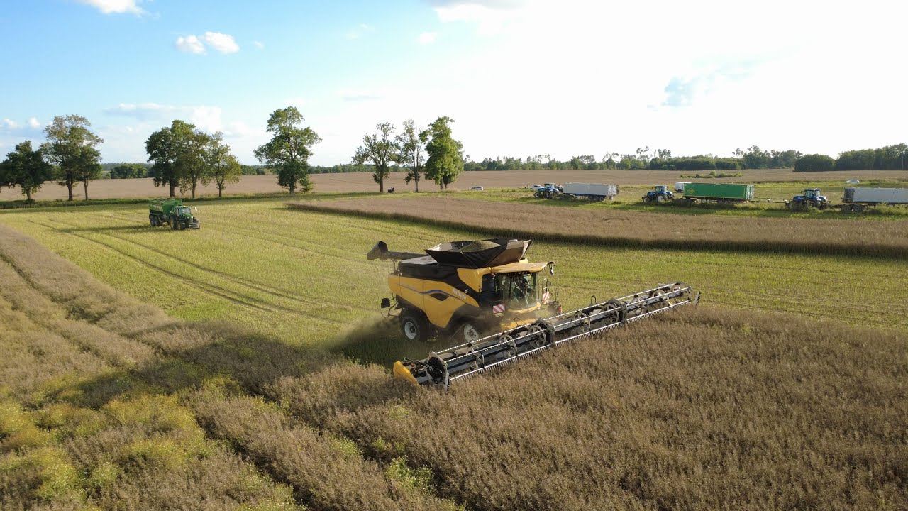PL✩ | Jedyne takie żniwa w Polsce | żniwa2025 | CGFP Wojnowo | CR11, 2x X9, lexion,8RX | PL✩