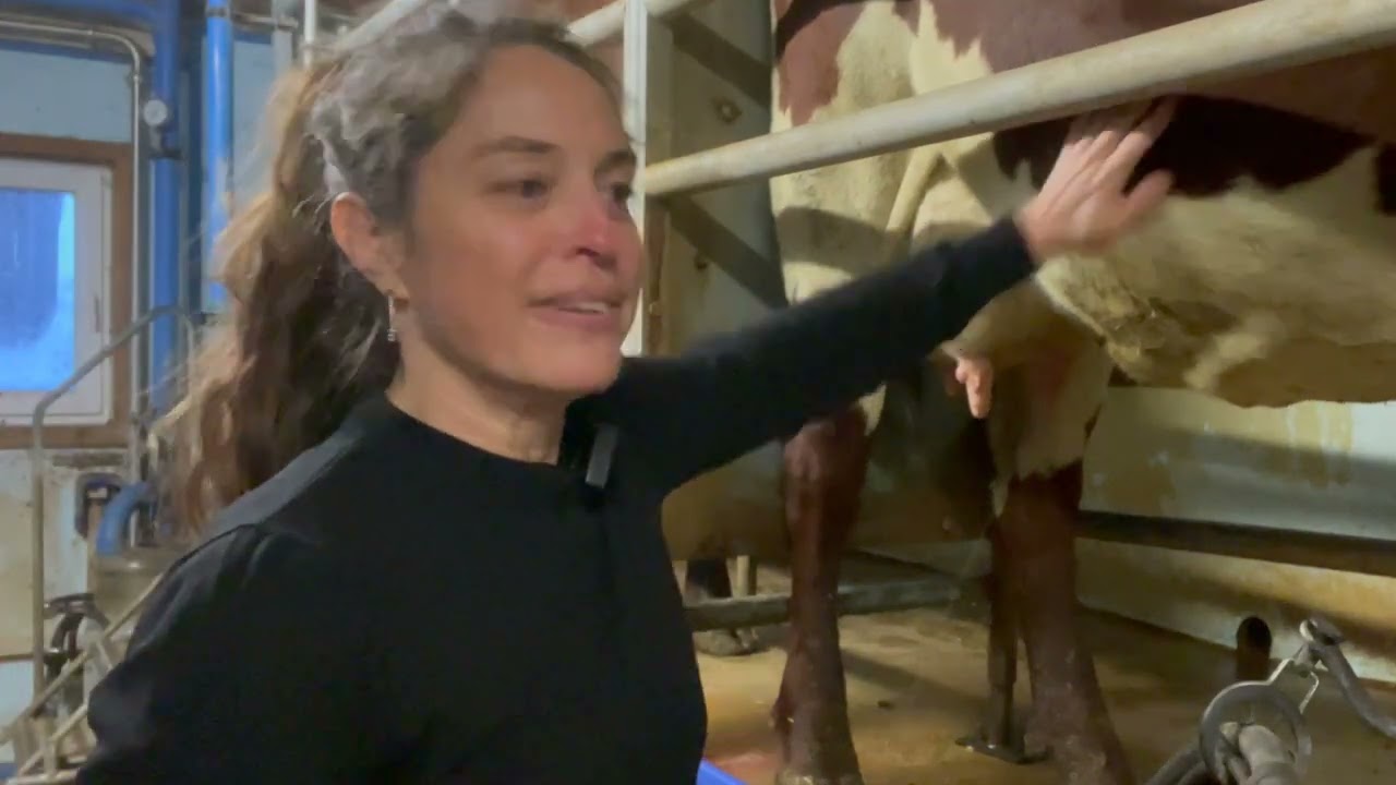 Buttermilch Teil 1 