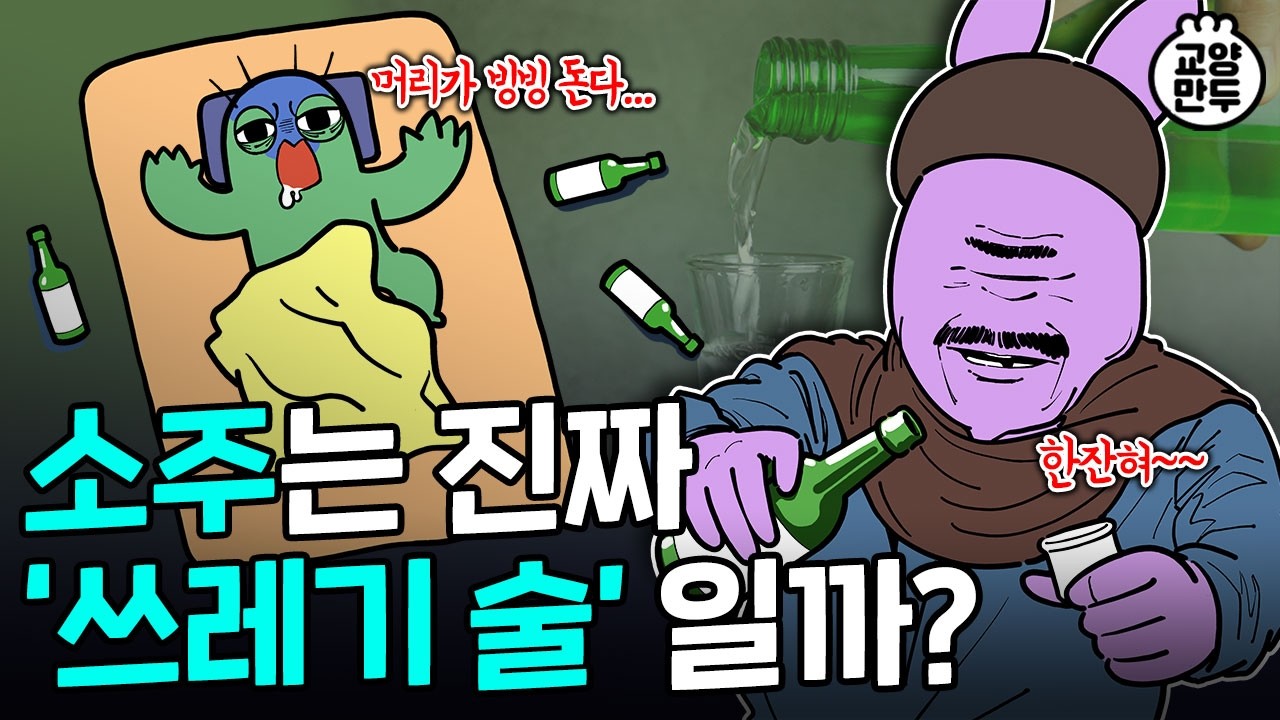 왜 힘든 날엔 소주가 더 달까?｜지역별 최애 소주가 존재하는 이유