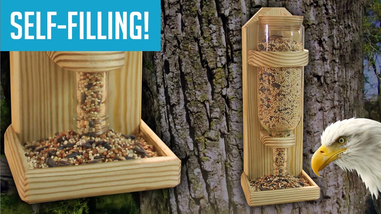 DIY Wine Bottle Bird Feeder