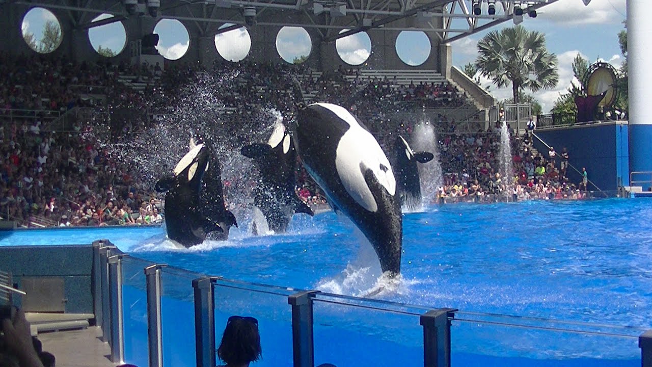 One Ocean (Full Show/HD) Aug 15 2016 - SeaWorld Orlando