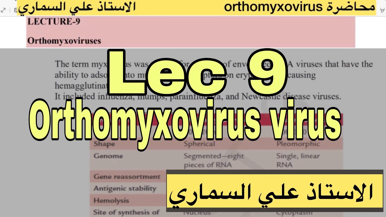 شرح محاضرة paramyxoviruses/ مادة الفيروسات / قسم التحليلات المرضية