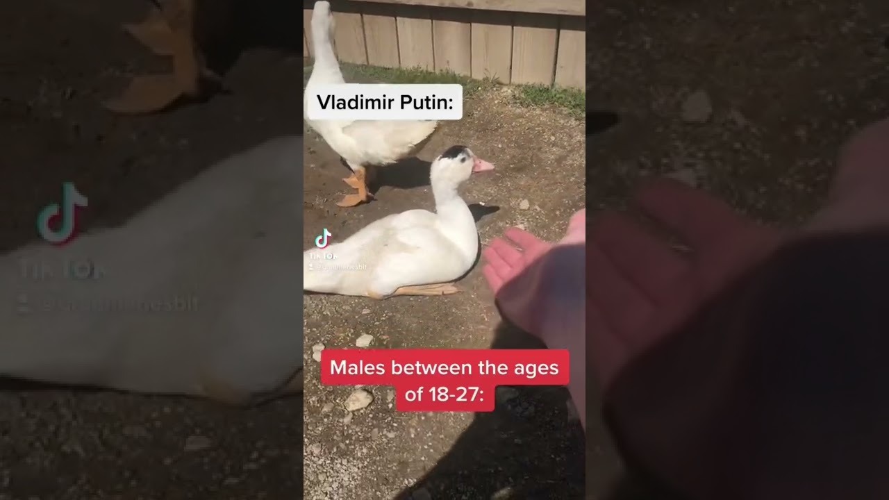 Putin announces the draft