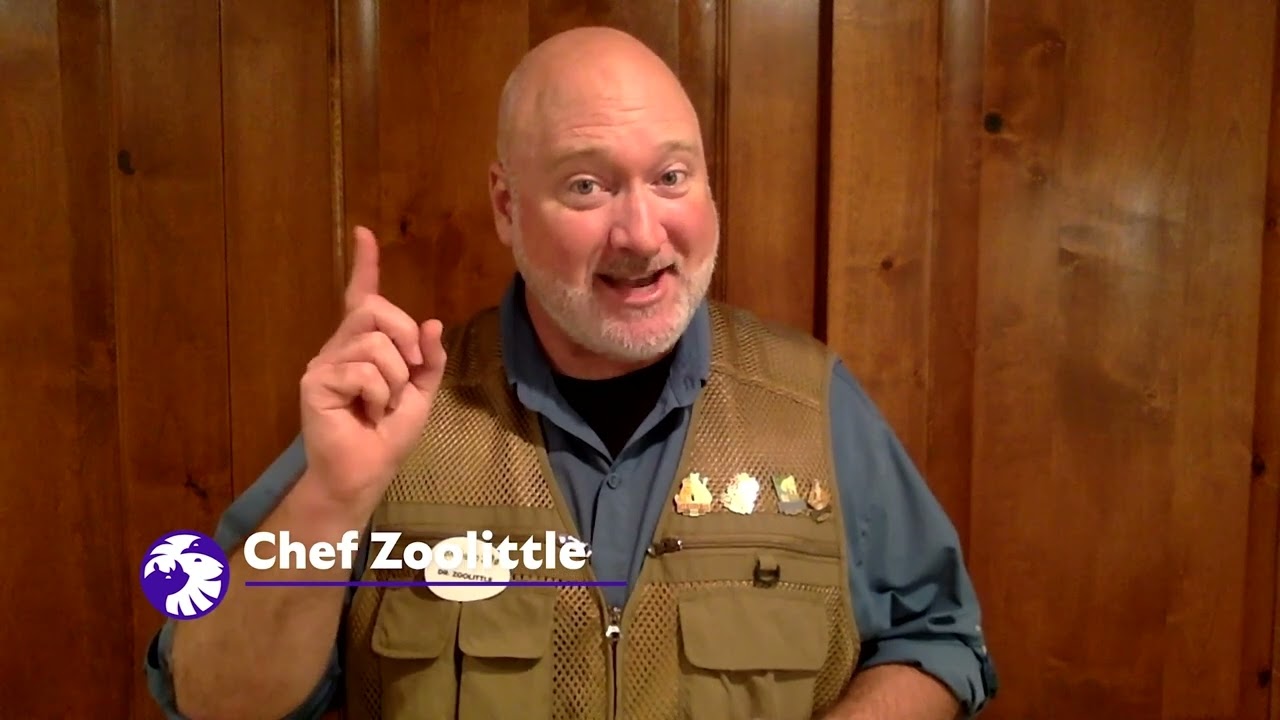 San Diego Zoo Wildlife Explorers Corner Episode 3: Designing Zoo Habitats