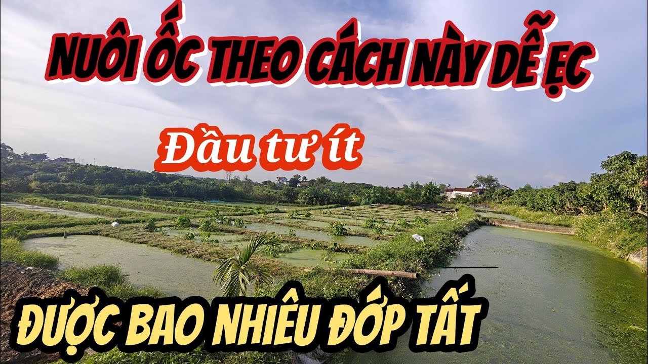 Mục tiêu  năm nay  và tiền đề cho năm sau 