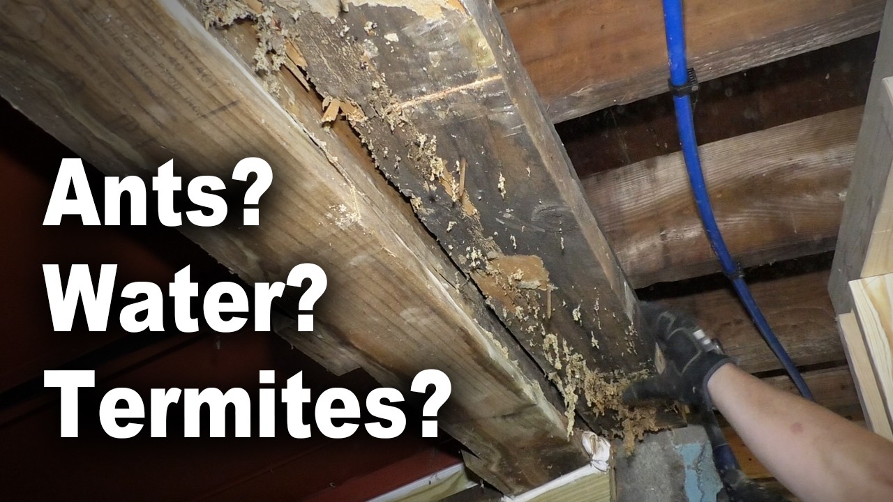 How to Replace Rotted Sill Plate with Header Over Basement Bulkhead Opening