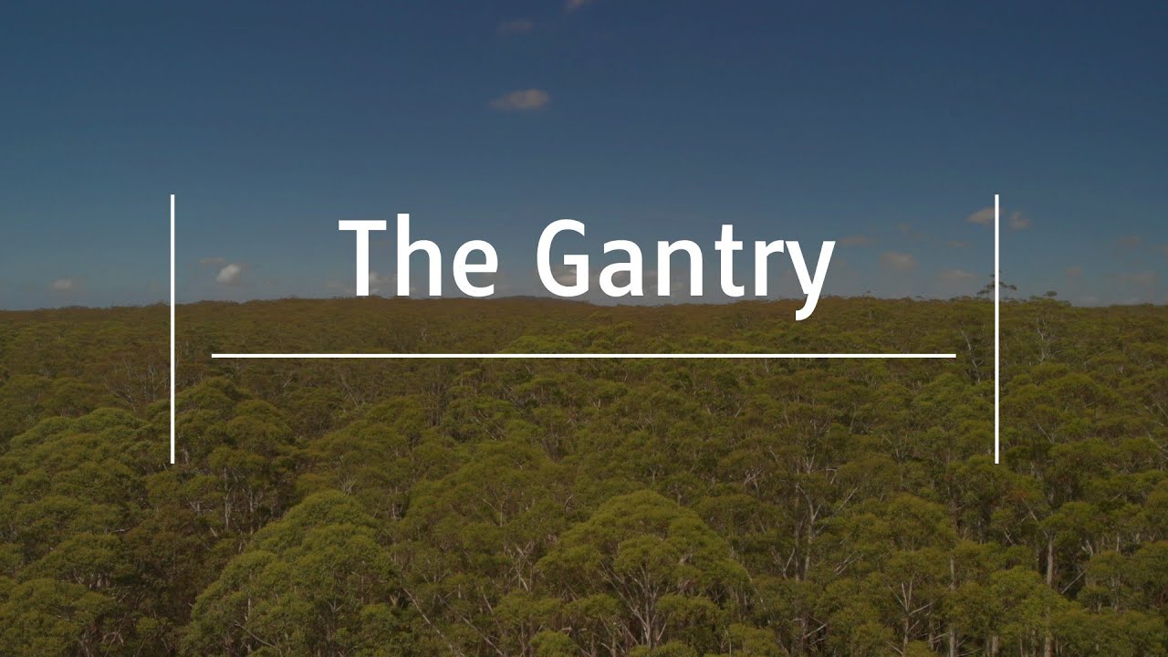 Head up! The Gantry - a beautiful piece of Mt Mee history and a great time getting there