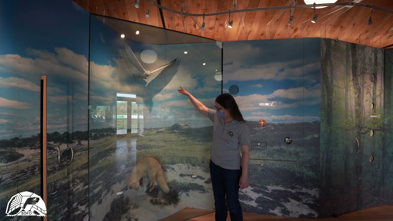 SOFO: TOUR OF THE MUSEUM & PROPERTY
