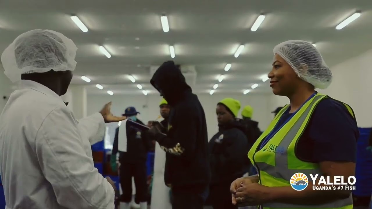 CRYSTAL’S BITES - COME TOUR THE YALELO UGANDA FACILITY WITH ME, PICK UP SOME FRESH TILAPIA TODAY! 😋